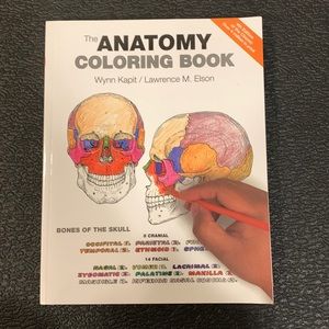 Anatomy Colouring Book